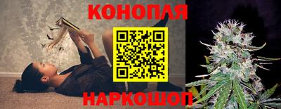 гидра Нарткала