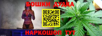 гидра Нарткала