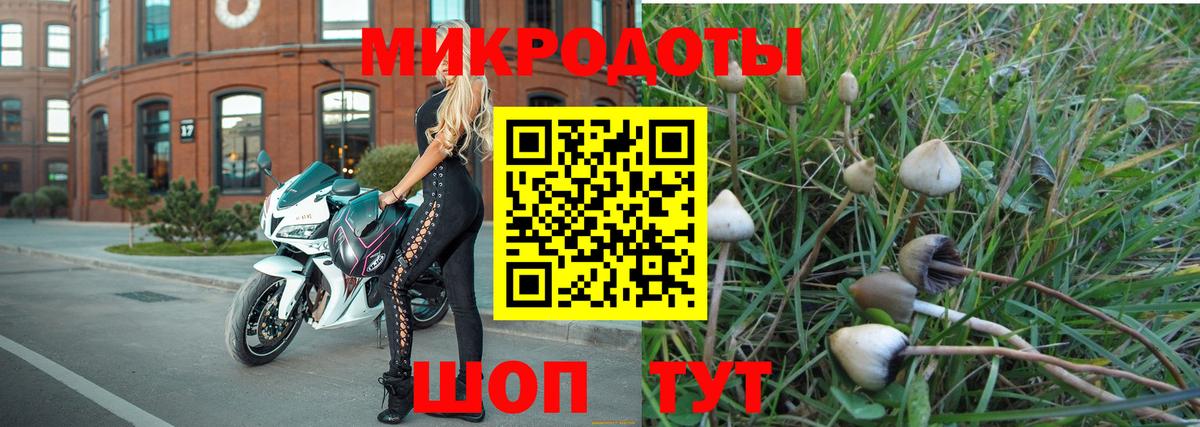 Галлюциногенные грибы Psilocybe Советский