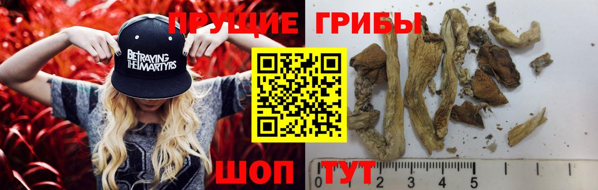 Советский  Галлюциногенные грибы Magic Shrooms  Вход с VPN 